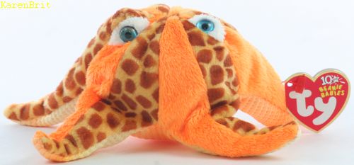 starfish beanie baby